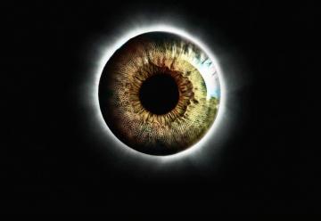 Wallpaper Eye Pupil Realistic Green Round