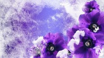 Winter Flowers Px HDwallsource