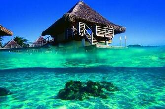 Wallpaper Bungalow Bora Ocean French Polynesia Blue