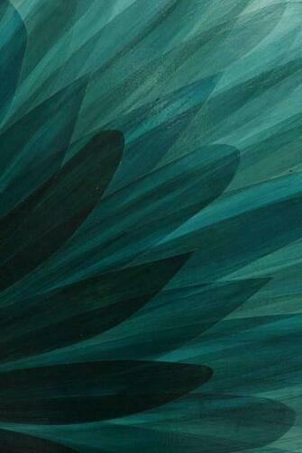 Quetzal Green Art Illustration Design Teal