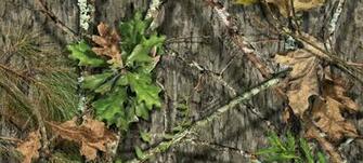 Obsession Mossy Oak