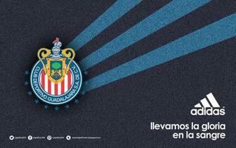 Chivas Wallpaper iPhone HD iPhone2lovely