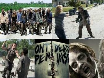 The Walking Dead Animated Wallpaper Desktopanimated
