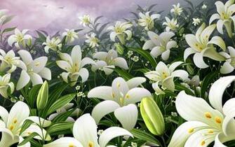 Lilies Flowers Wallpaper White