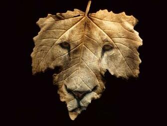 Wild Leaf Desktop Pc And Mac Wallpaper