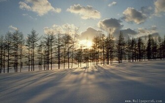 Wallpaper Dusk Snow Scenery