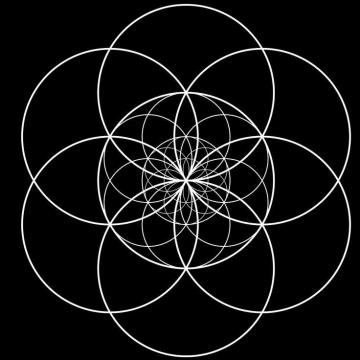 Seed Of Life Transcendental By Johnnet