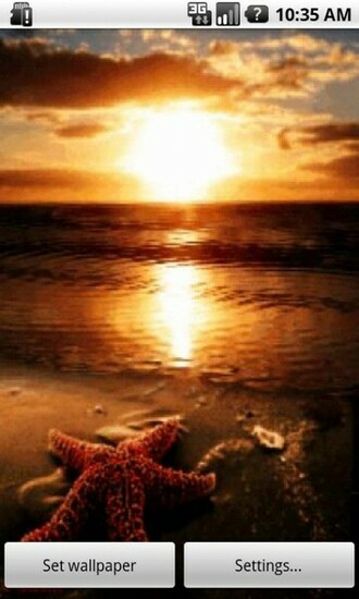 Summer Beach Sunset Wallpaper