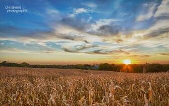 Nature Chris Reed Photography