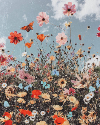 Cute Spring Wallpaper