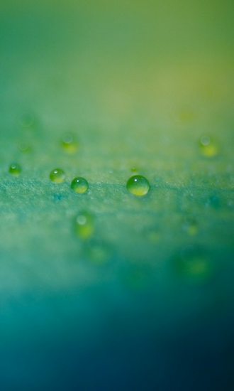 Best Blackberry Z10 Wallpaper