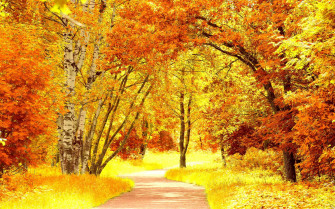 October Wallpaper HD For Desktop