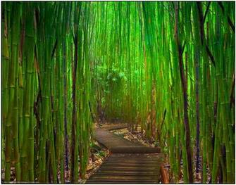 High Definition Wallpaper Photo Gateway Html