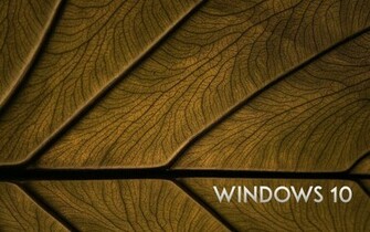 Windows Wallpaper Graffies