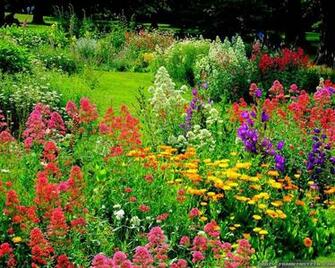 Amazing Flower Garden Wallpaper