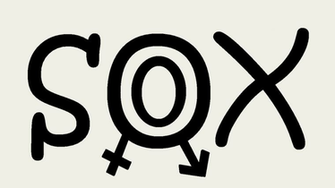 Sox Flag By 3d4d