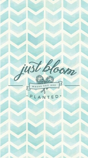Cute iPhone Wallpaper Addicti