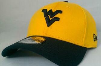 Flying West Virginia Logo