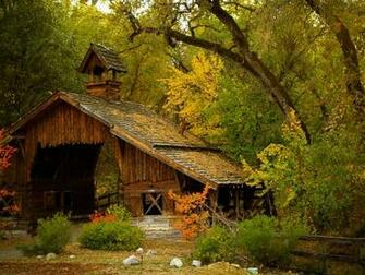 House Under Tree 4k Ultra HD Wallpaper Net