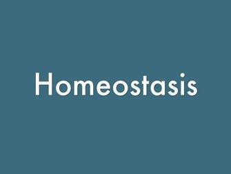 Homeostasis By