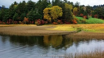 Wallpaper Nature S