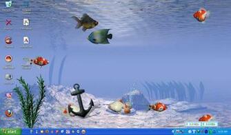 Image Wallpaper Bergerak Ikan Gambar Animasi Burung