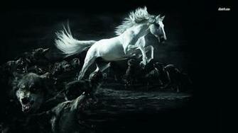 Wallpaper With Animals Horse Tags Laptop