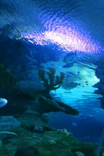Aquatic Background By Ahyou1991