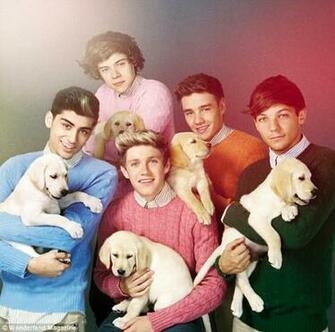 One Direction Photos