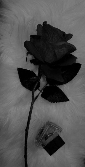 Black Rose Aesthetic Wallpaper