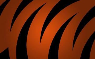 Orange Stripes On A Black Background