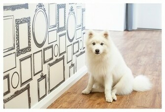 Frames Wallpaper Grasscloth