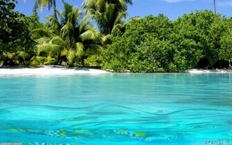 Exotic Beach Uploader Anonymous Licence Category Nature Tags