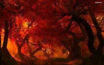 Forest Fire Wallpaper
