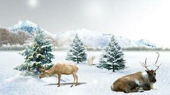 Early Winter Snow Wallpaper