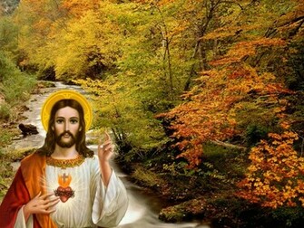 Sacred Heart Of Jesus Wallpaper