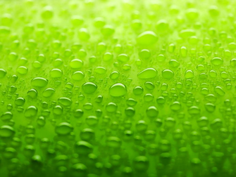 Green Wallpaper Colors