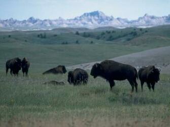 Badlands National Park In South Dakota Service