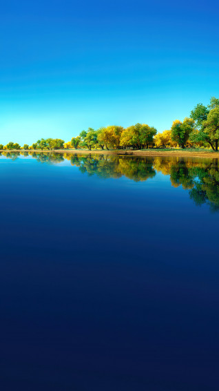 Forest Lake Scenery Huawei 4k Wallpaper iPhone HD Phone 2520f