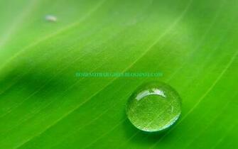 High Definition HD Desktop Windows Xp Wallpaper Jpg