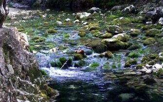 HD Mountain Stream Wallpaper