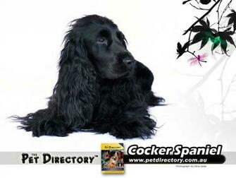 The Pet Directory Australia World S Largest Online