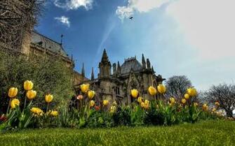 Yellow Tulips Near Castle HD Desktop Wallpaper