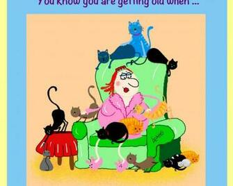 Funny Old Lady High Quality And Resolution Wallpaper On