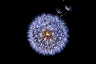 Samsung Galaxy S9 Wallpaper Droid Life