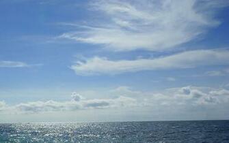 Or Samsung Galaxy Just Press And Select As Wallpaper Save