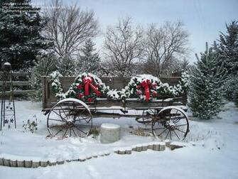 Country Christmas Trees S Entry