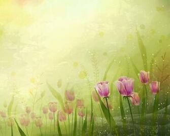 New Floral Wallpaper Feb Screensavers And Background