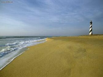 Nature Cape Hatteras National Seashore Outer Banks North Carolina