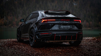 Black Fox